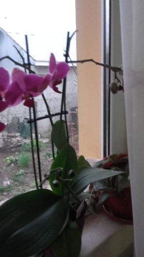 20160319_175839 - 2016