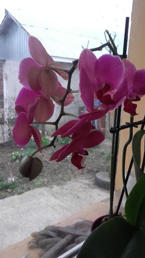 20160319_175824