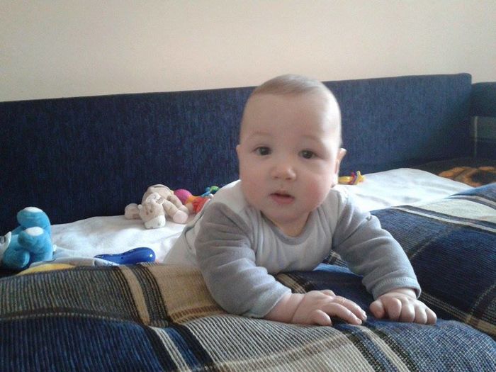 12516230_510381522495287_807832013_n