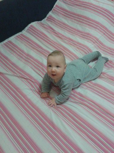 12516544_510381529161953_12553895_n