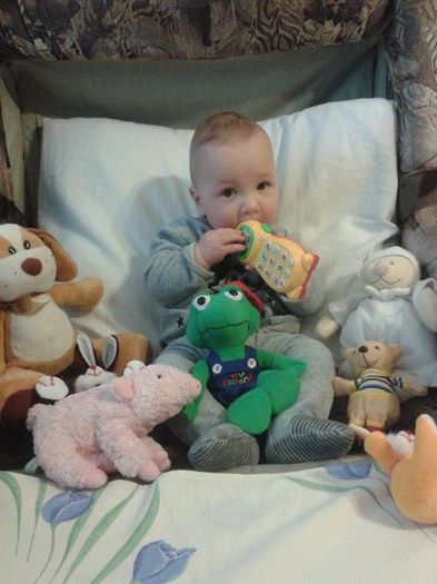 12596218_510381472495292_1293726918_n