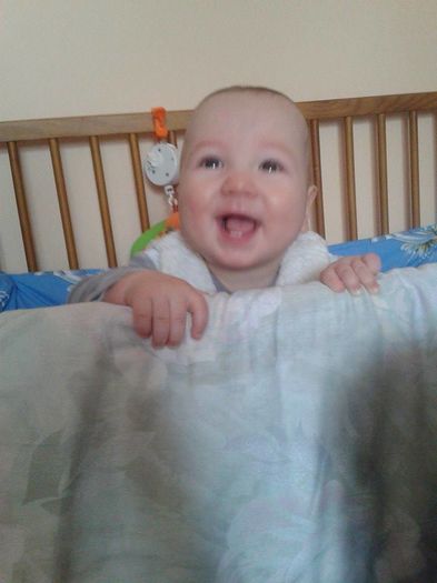 12674125_510381349161971_1443848308_n