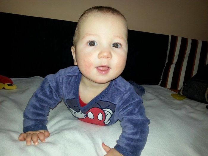 12884567_510381439161962_136334475_n