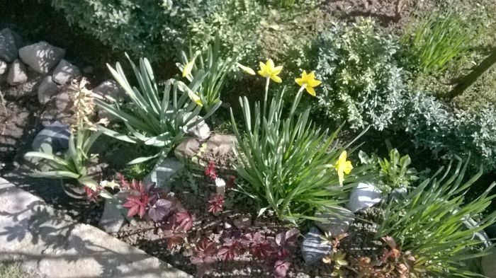 WP_20160320_019
