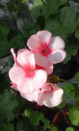 20160320_164852