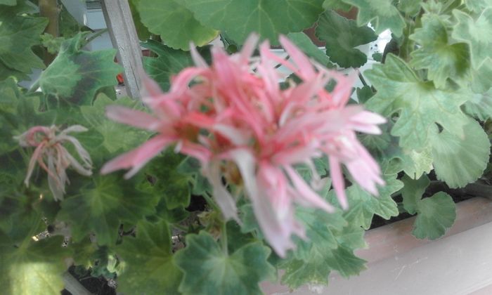 20160320_165011