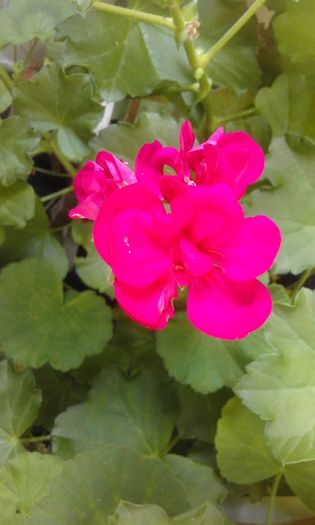 20160320_165147