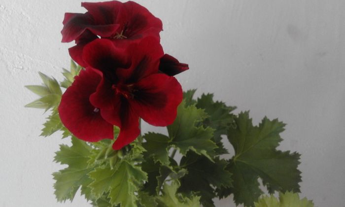 20160320_170642