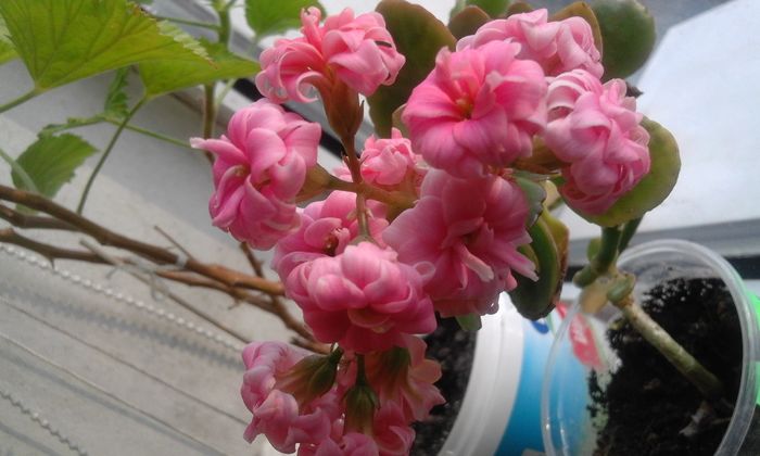 20160320_170837