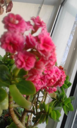 20160320_171040