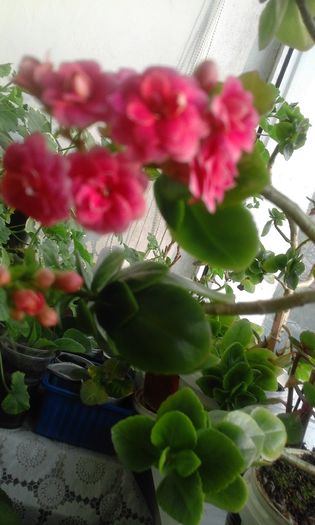20160320_171054