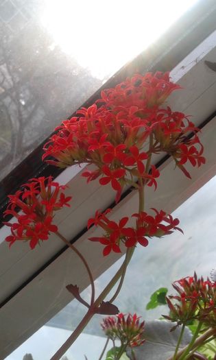 20160320_171230