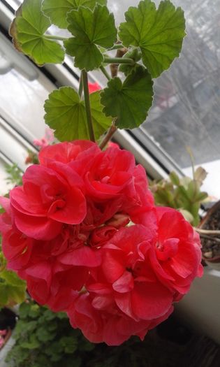 20160320_171808