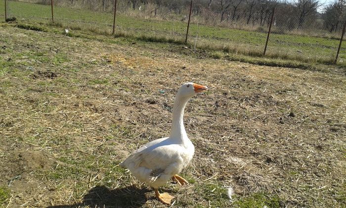 20160320_130043 - La strand