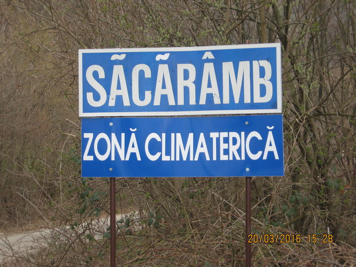Picture 5646 - Sacarimb-Zona climaterica