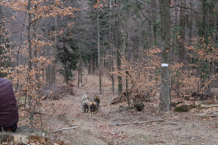 IMG_3804 - Pentru ca IUBESC NATURA