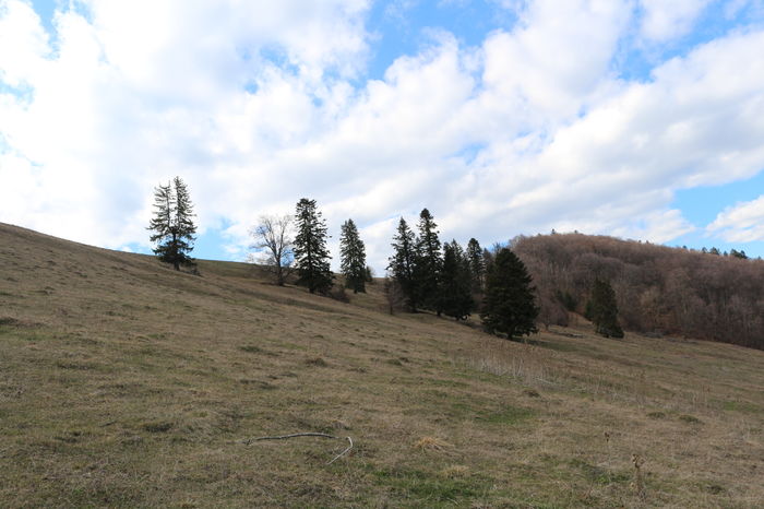 IMG_3812 - Pentru ca IUBESC NATURA