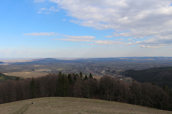 IMG_3814 - Pentru ca IUBESC NATURA