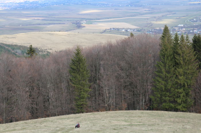 IMG_3815 - Pentru ca IUBESC NATURA