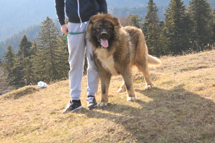 IMG_3977 - Pentru ca IUBESC NATURA