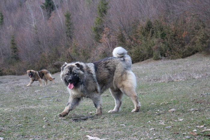 IMG_4071 - Pentru ca IUBESC NATURA