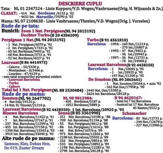 Descriere cuplul 5 - CUPLURI 2016 - IN LUCRU