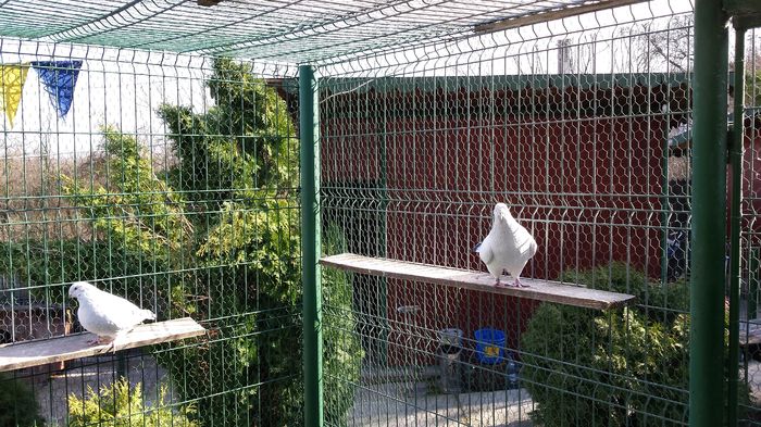 M-2014-617&F-2014-447