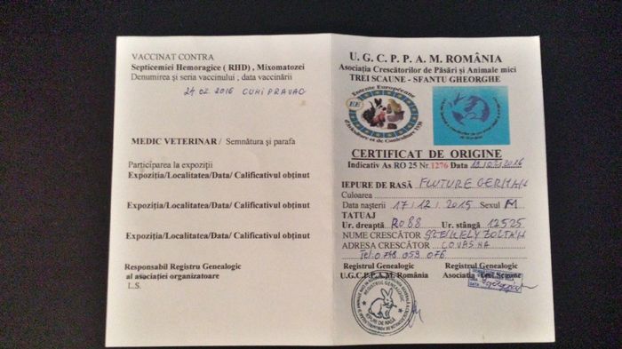 Certificat Origine - 9---x ACHIZITII facute in 2016 --- x