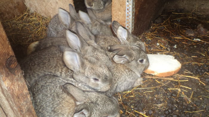 21 MARTIE 2016 LA O LUNA