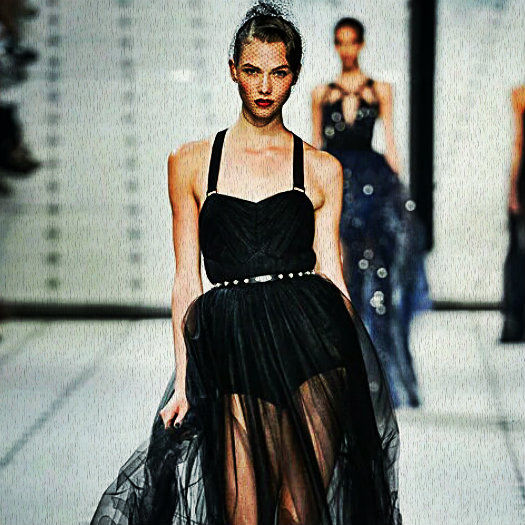 ◆ electraheart`s favorite model