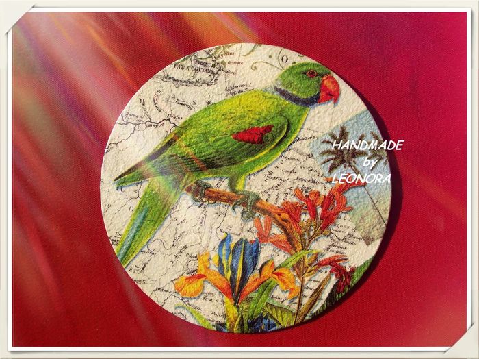 magnet frigider papagal