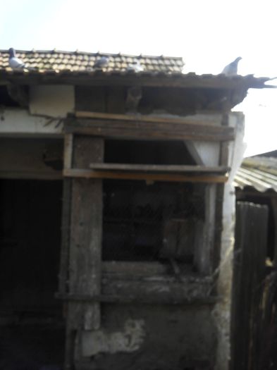 IMG_20160320_100928_1