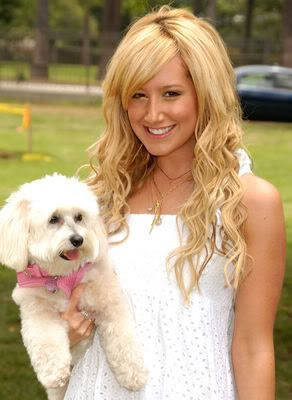 IKTMHEIBJKNLLWNLHEC - ashley tisdale