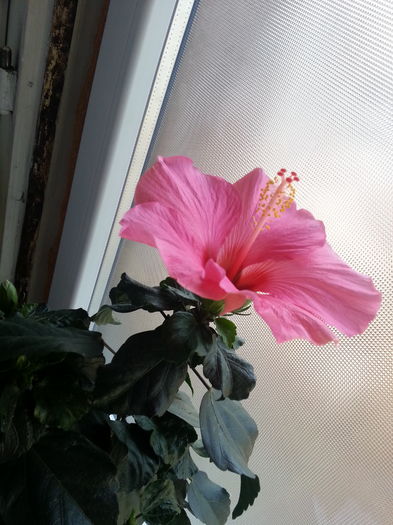 20160321_015203