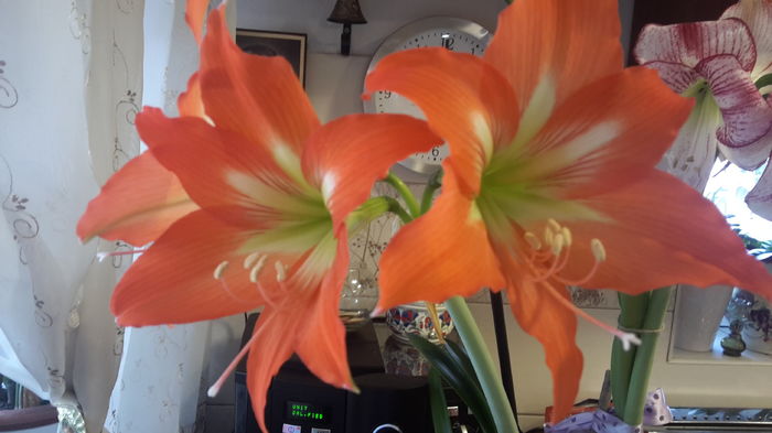 20160320_110525