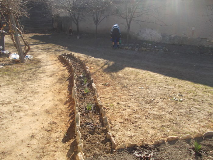 Urmatoarea bucata de alee - 1__12 Alei si rondouri cu flori Gradina de legume