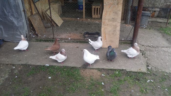 20160319_092606; Texani Monor 2016
