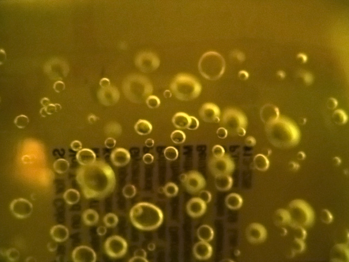 bubbles_1 - Bule