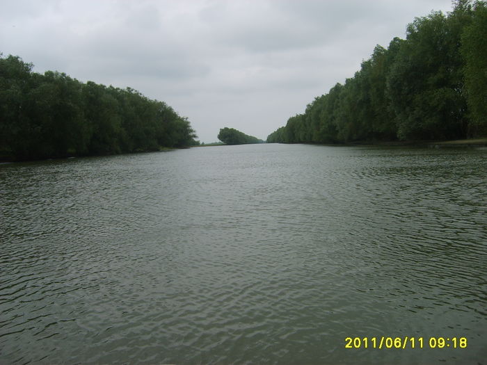 S5002053