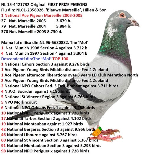 NL15-4421732 FIU DIN LOC 1 NATIONAL AS PIGEON MARSEILLE 2003-2005 - 0a-ACHIZITIE FIU DIN LOC 1 NATIONAL AS PIGEON MARSEILLE  2003-2005