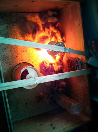 IMG-20160322-WA0002
