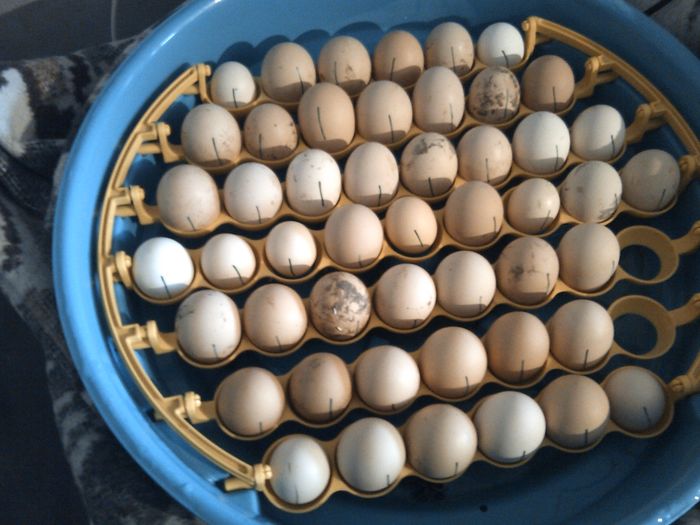 minisere si solarul 020