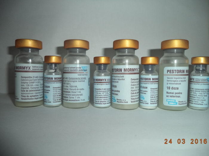 DSC01086 - vaccin