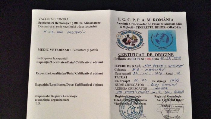 Certificat de Origine - 01 Femela 1 RO24 1639