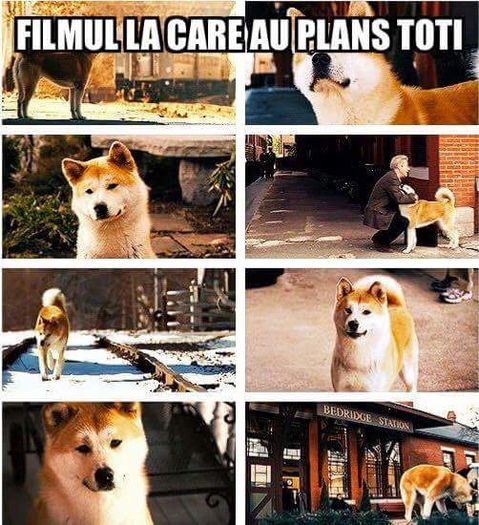  - x i m givin up on u