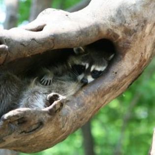 677321_63ccaafc5589e6bcb5c58071f2183f9b_mdsq