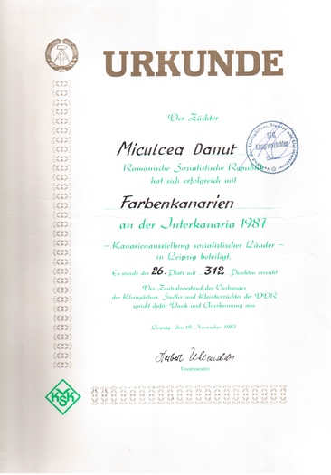 16 - canari de postura