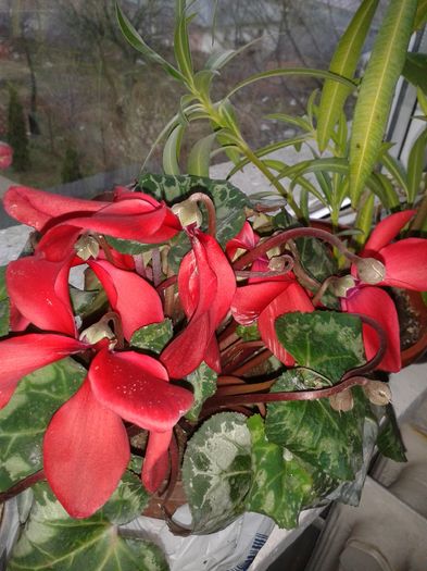 20160321_150029