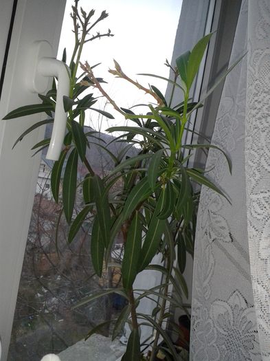 20160321_150045