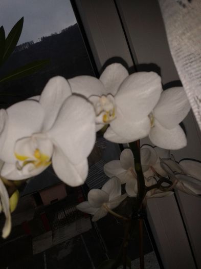 20160321_150102